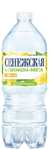Сенежская + Лимон-мята 1,0 л газ