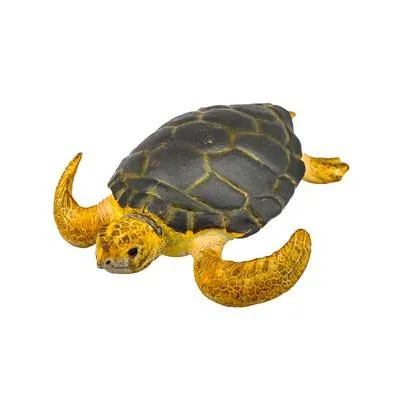 Грифовая черепаха, М, 88094b