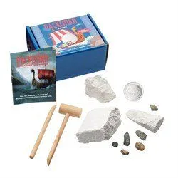 Набор для проведения раскопок с монетами "Викинги", dig-25/БМ