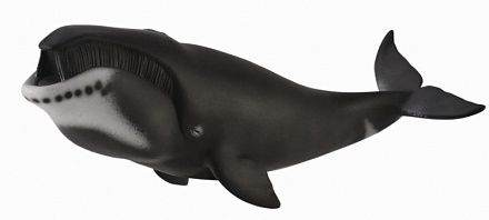 Гренландский кит XL 88652b
