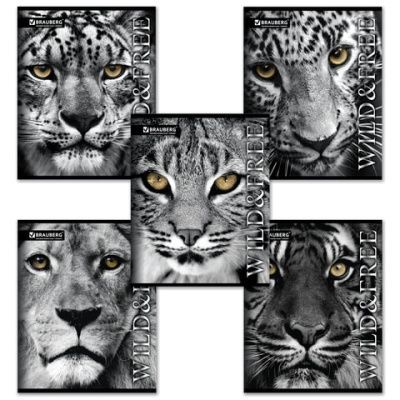 Тетрадь 48 л. А5 клетка BG "Wild&free" Т5ск48 11073 342108