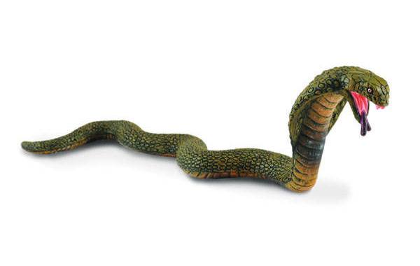 Королевская кобра, М, 88230b