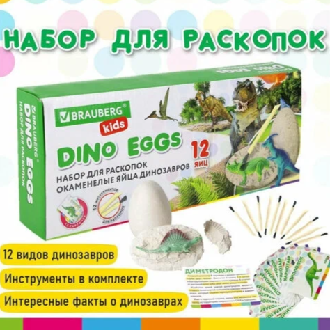 Набор для раскопок 12 видов динозавров, BRAUBERG KIDS, 664923